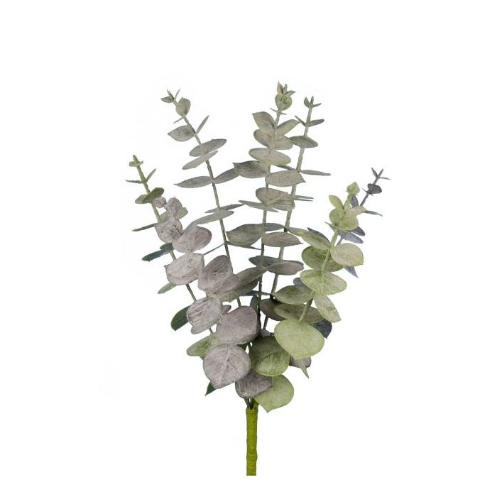 Spiral Eucalyptus Pick 30cm