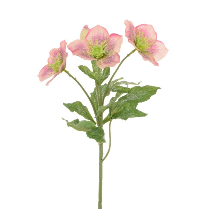 Iced Hellebore Spray 38cm Mauve/Pink