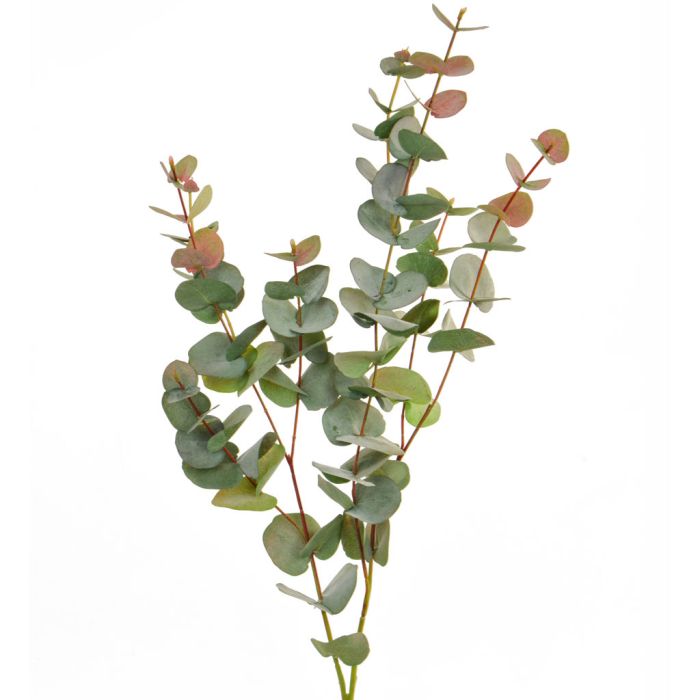Eucalyptus Foliage Red/Green 100cm