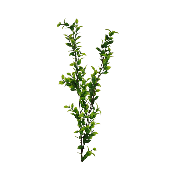 Single Ruscus Spray 90cm