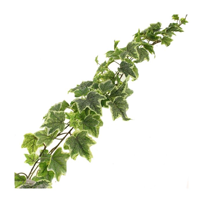 180cm Outdoor Ivy Garland WR Green/Variegated