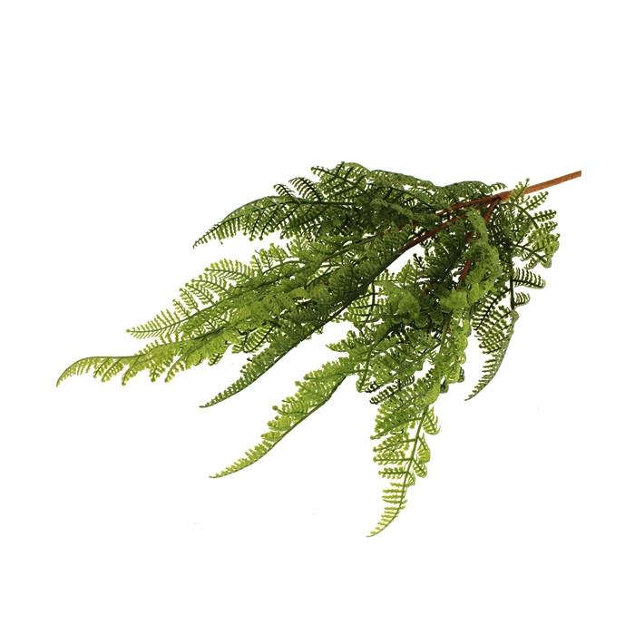 48cm Parsley Fern Green