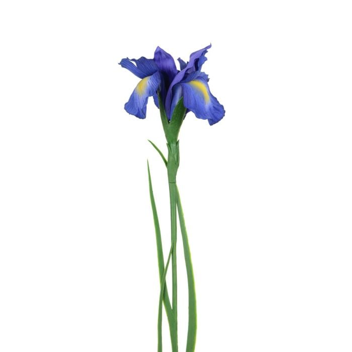 Iris Stem 69cm Blue