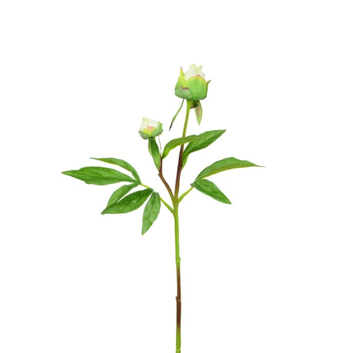 Peony Bud F.T x1 White 48cm