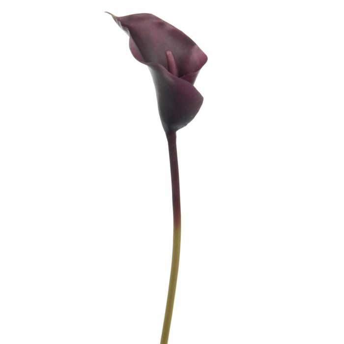 Calla Lily 63cm Aubergine