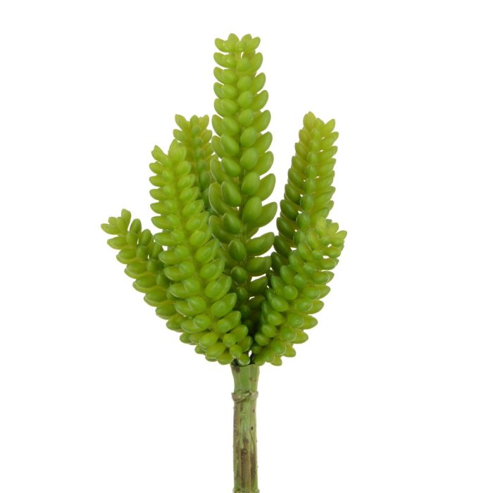 Succulent Pick 30cm Green