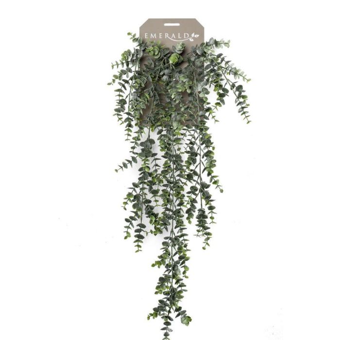 Eucalyptus Hanging Bush 75cm