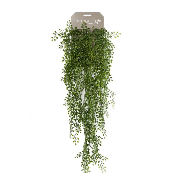Jasmin Mini Hanging Bush 80cm