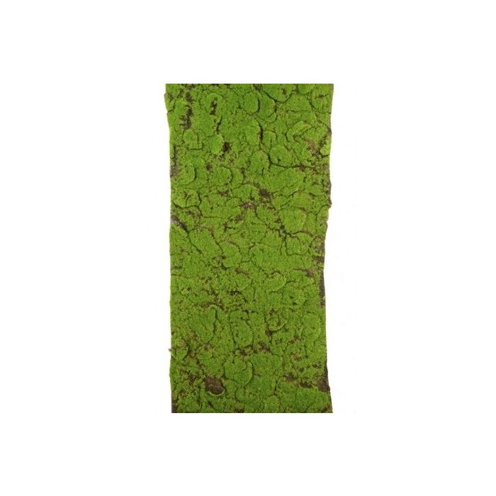 Moss Mat Roll 40 x 150cm
