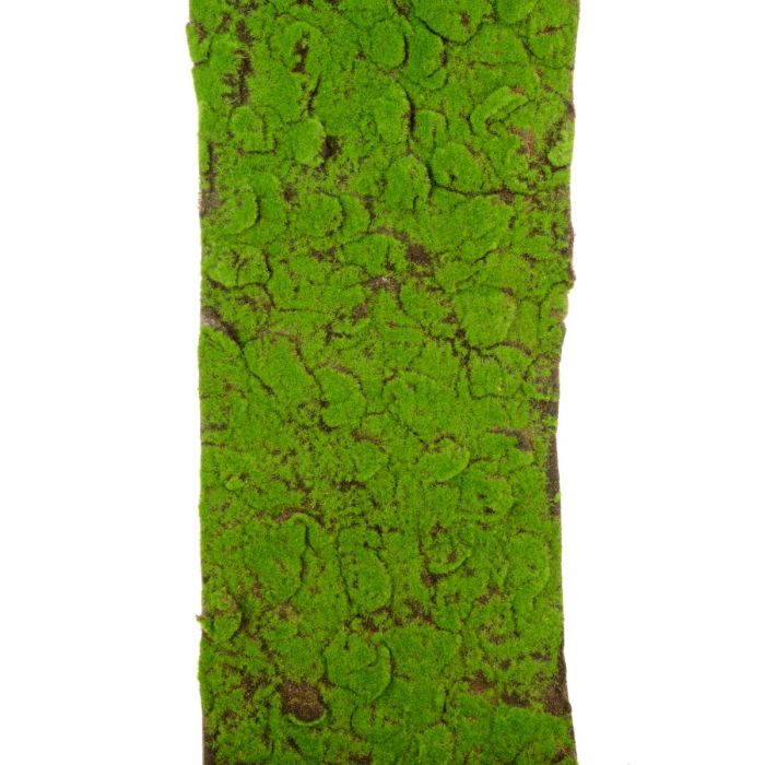 Moss Mat Roll 40 x 150cm