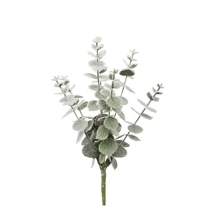 Snowy Spiral Eucalyptus Pick 30cm