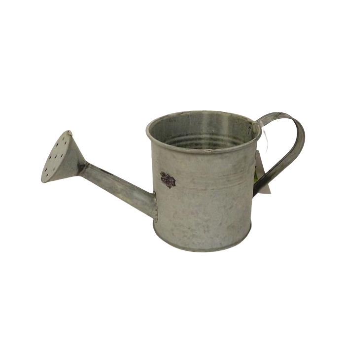 Chartwell 10.5cm Watering Can