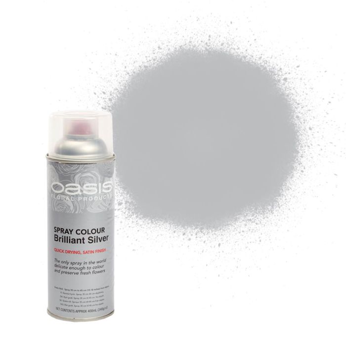 OASIS® Spray Colour Brilliant Silver