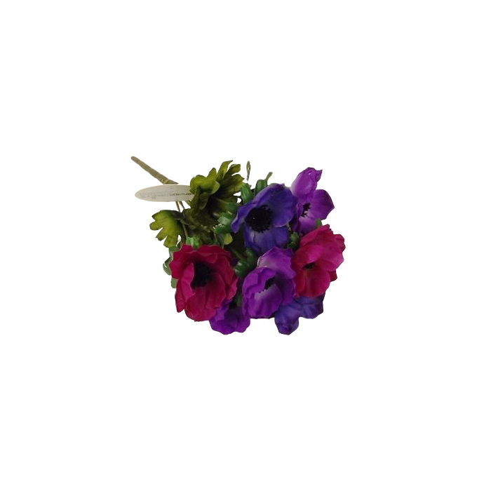 Anemone Bush Purple/Cerise/Plum