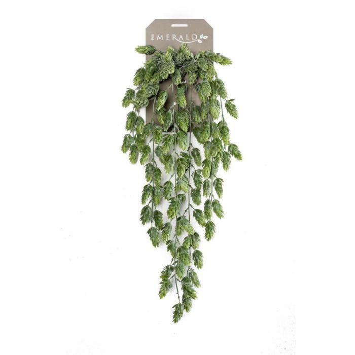 Hop Hanging Bush 70cm