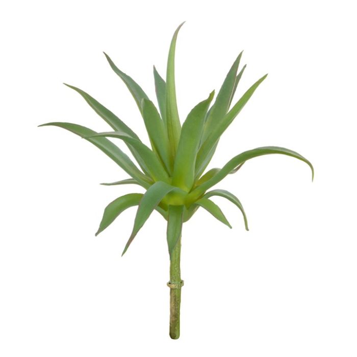 Aloe Pick 20cm Green