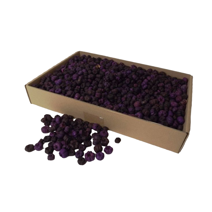 Putka Pods Aubergine