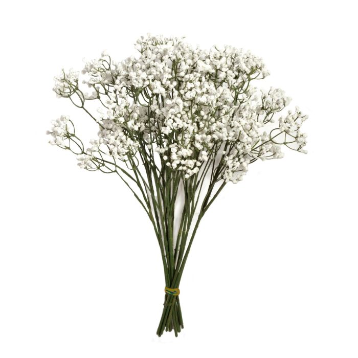 48cm Gypsophila x 12 Stems