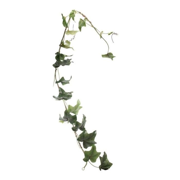 6ft English  Ivy Garland x 24 lvs