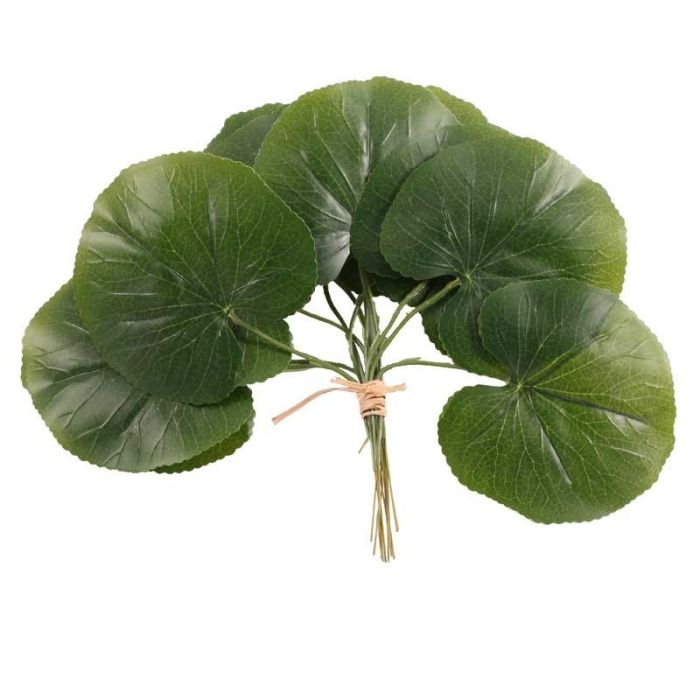 Galax Leaf Pack Of 12