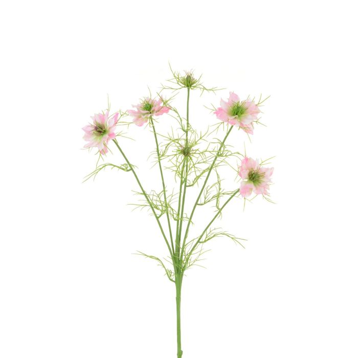 Nigella Love in the Mist -65cm Pink