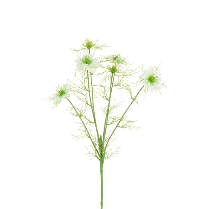 Nigella Love in the Mist -65cm White