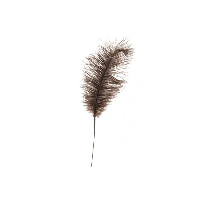Feather Quill 76cm Mink