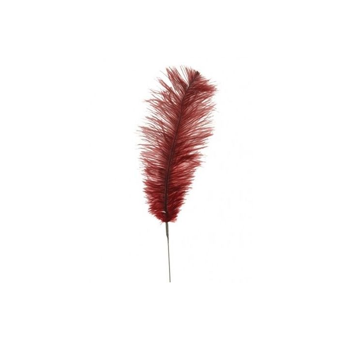Feather Quill 76cm Ruby