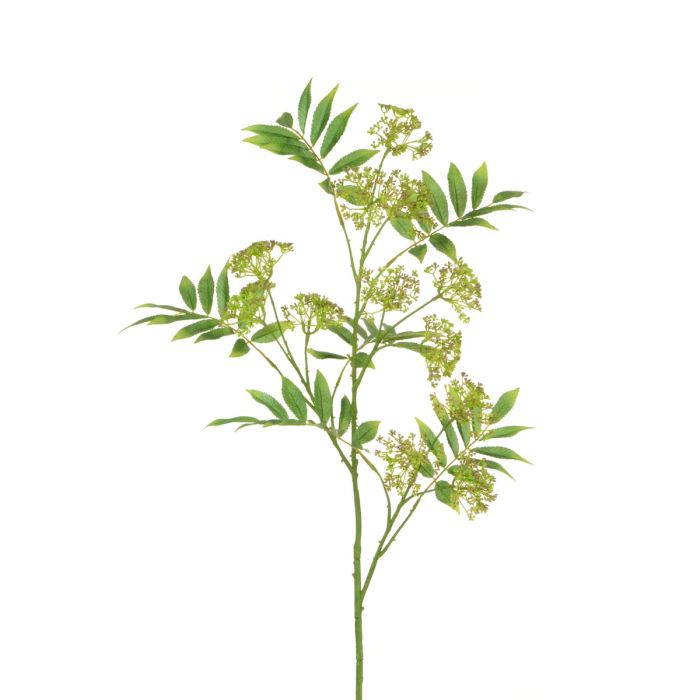 Anethum Spray 117cm Green