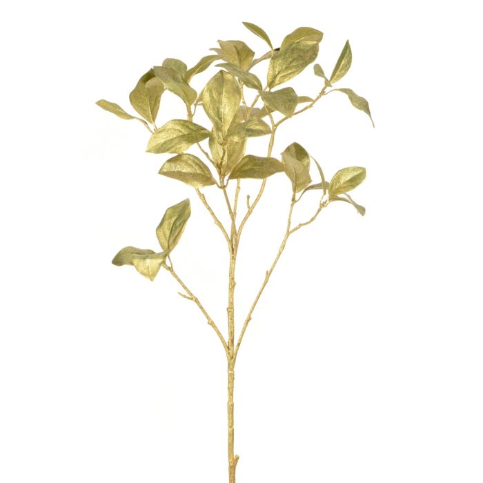 Brushed Bay Leaf Spray 75cm