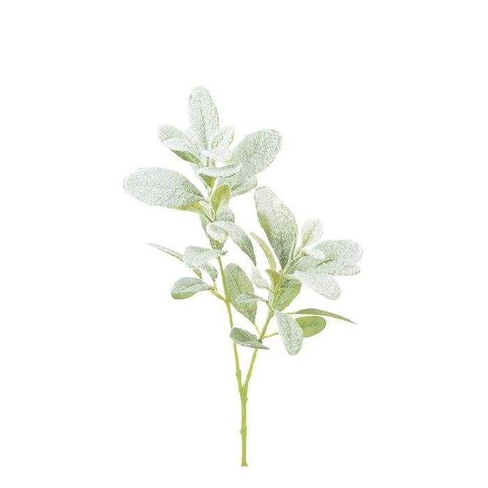 Snowstorm Lambs Ear Spray 71cm