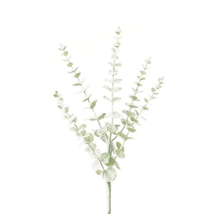 Snowstorm Eucalyptus 72cm