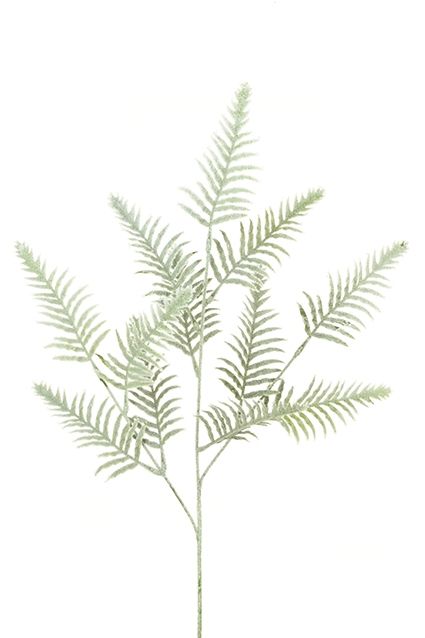 Snowy Fern Spray 70cm White/Green