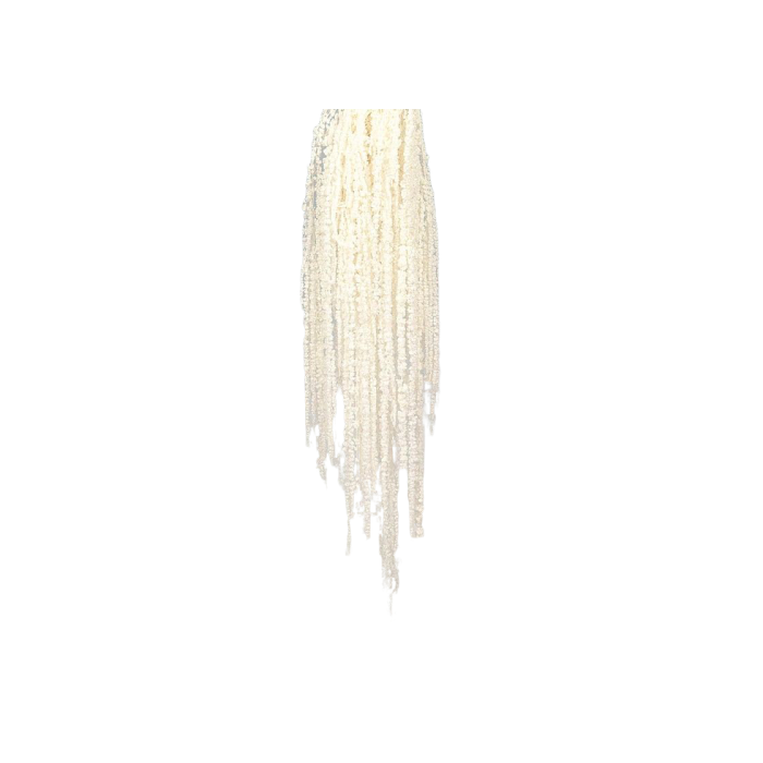 Preserved Amaranthus Caudatus - White