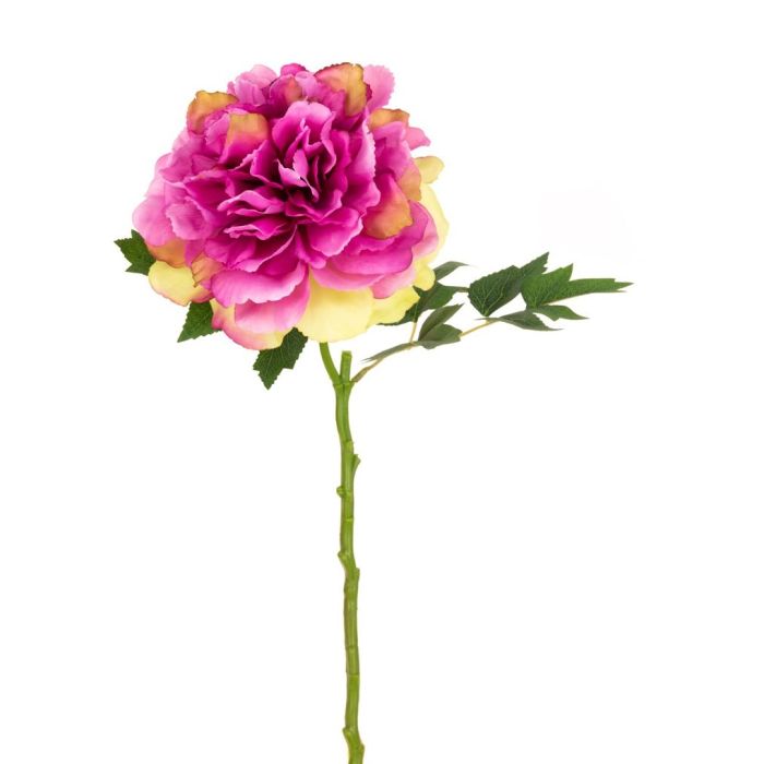 Blush Peony Fuchsia - 62cm Fuchsia