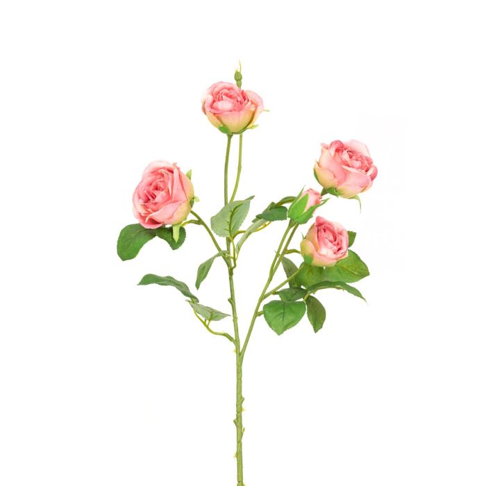 Abeba Rose Spray 60cm Melon