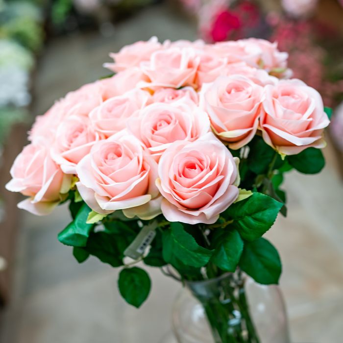 Buy Mattocks Star Performer (Chewpearl) Rose | Notcutts