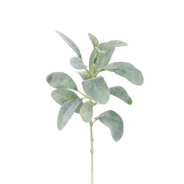 ECO Lambs Ear Shortie - 35cm Green