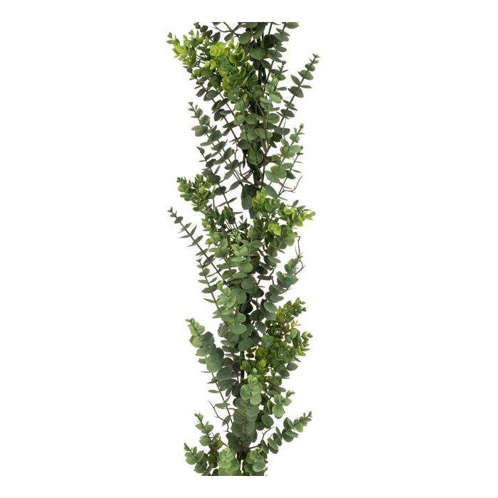 Eucalyptus Garland - 183cm