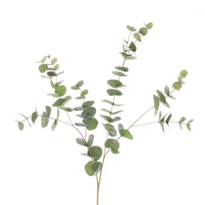 Jackson Eucalyptus Spray - 101cm