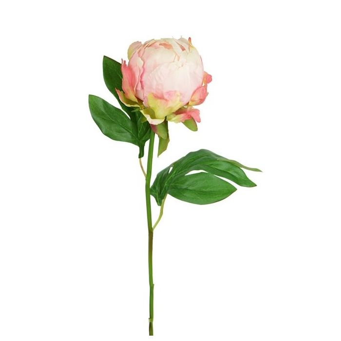 Hybrid Peony Bud 45cm Pink