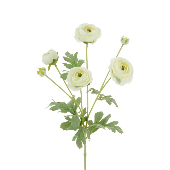 ECO Ranunculus Spray 67cm White