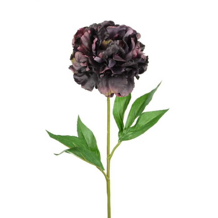 Peony x 1 Aubergine 77cm