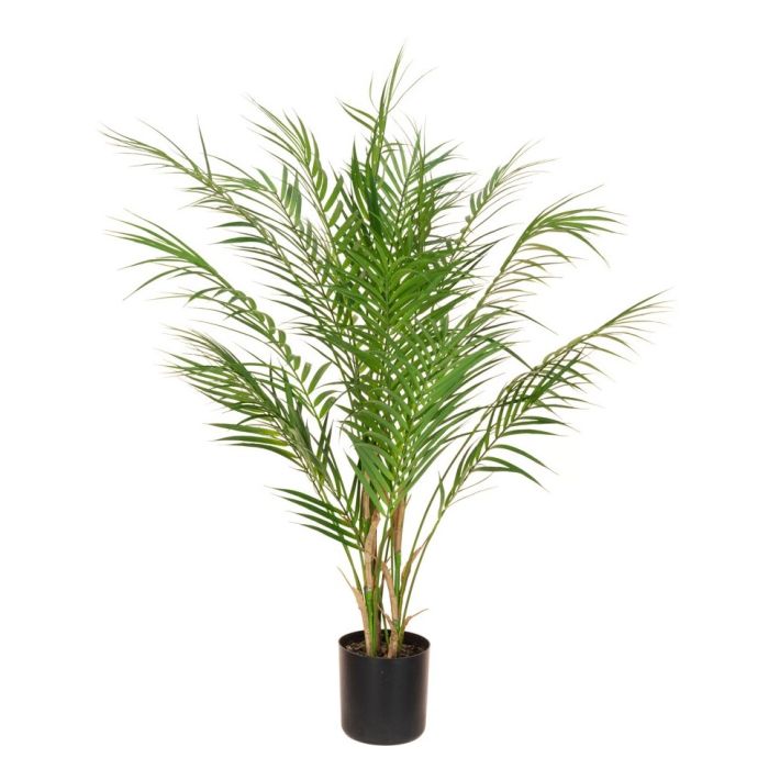 Areca Palm in pot - 90cm