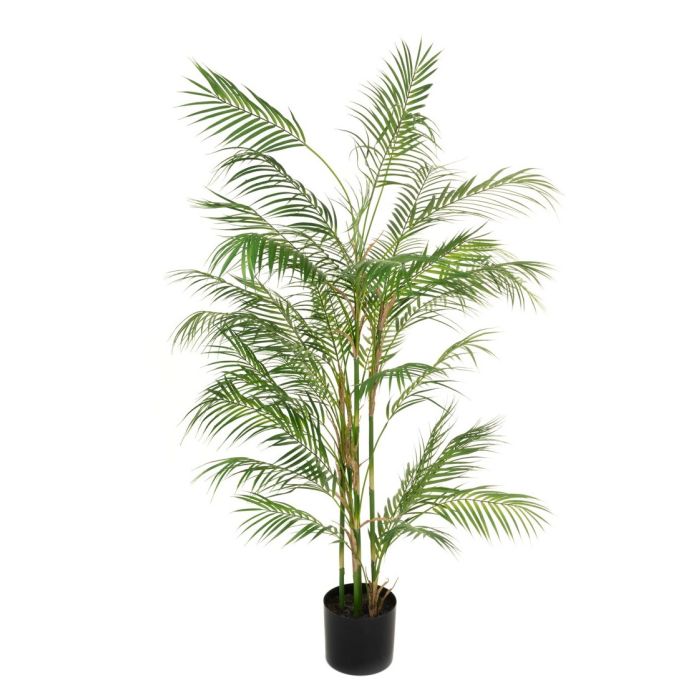 Areca Palm In Pot - 150cm