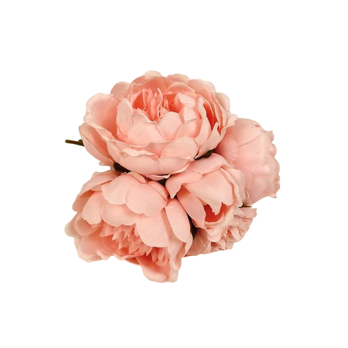 28cm Light Coral Peony Posy