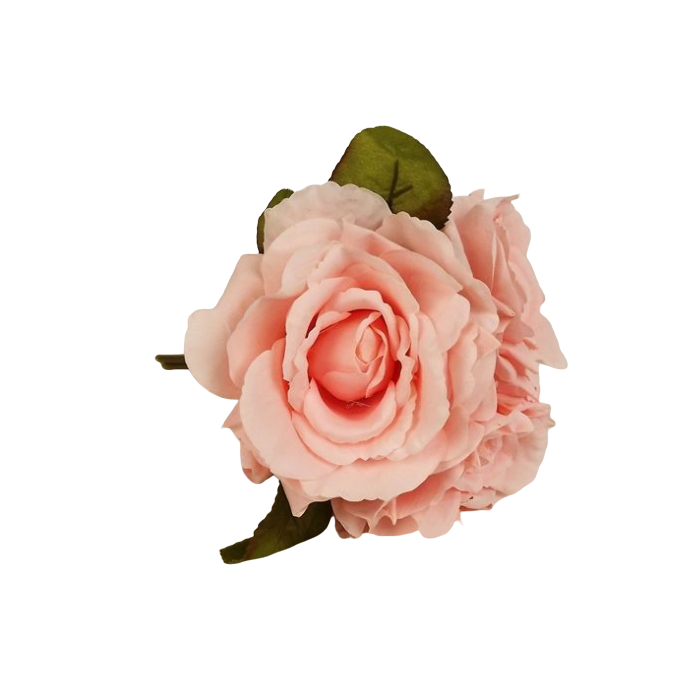 24cm Light Coral Open Rose Posy