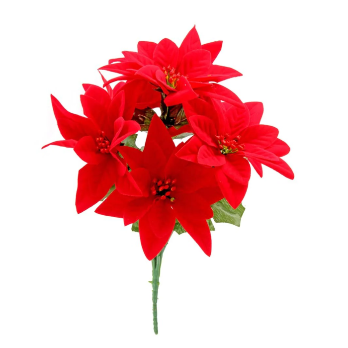Velvet Poinsettia Bush x 7 Heads Red