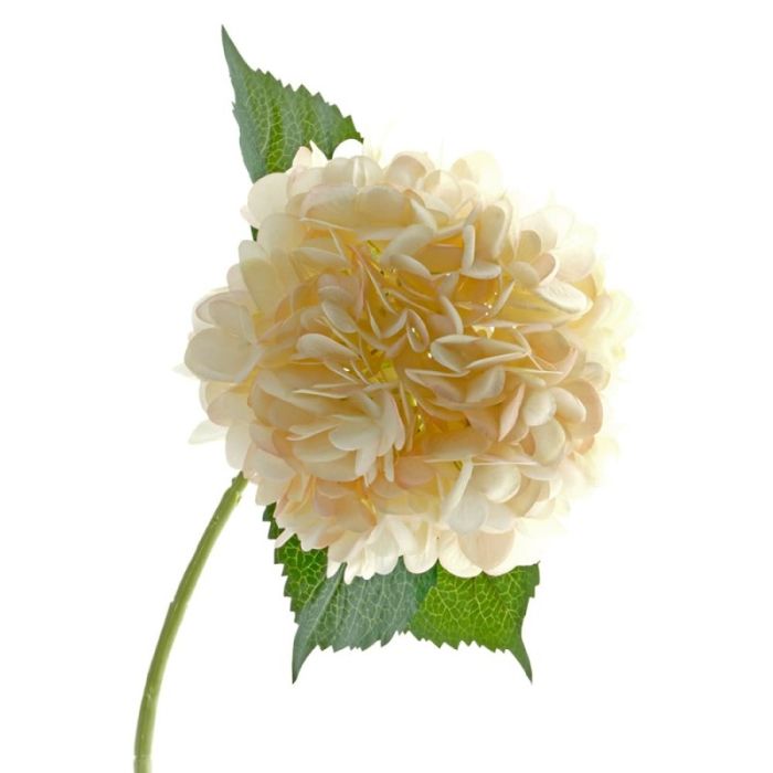 Single Hydrangea 82cm Blush Pink