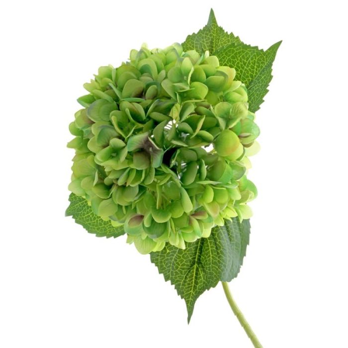 Single Hydrangea 82cm Green